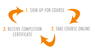 How Driver Education Online Works